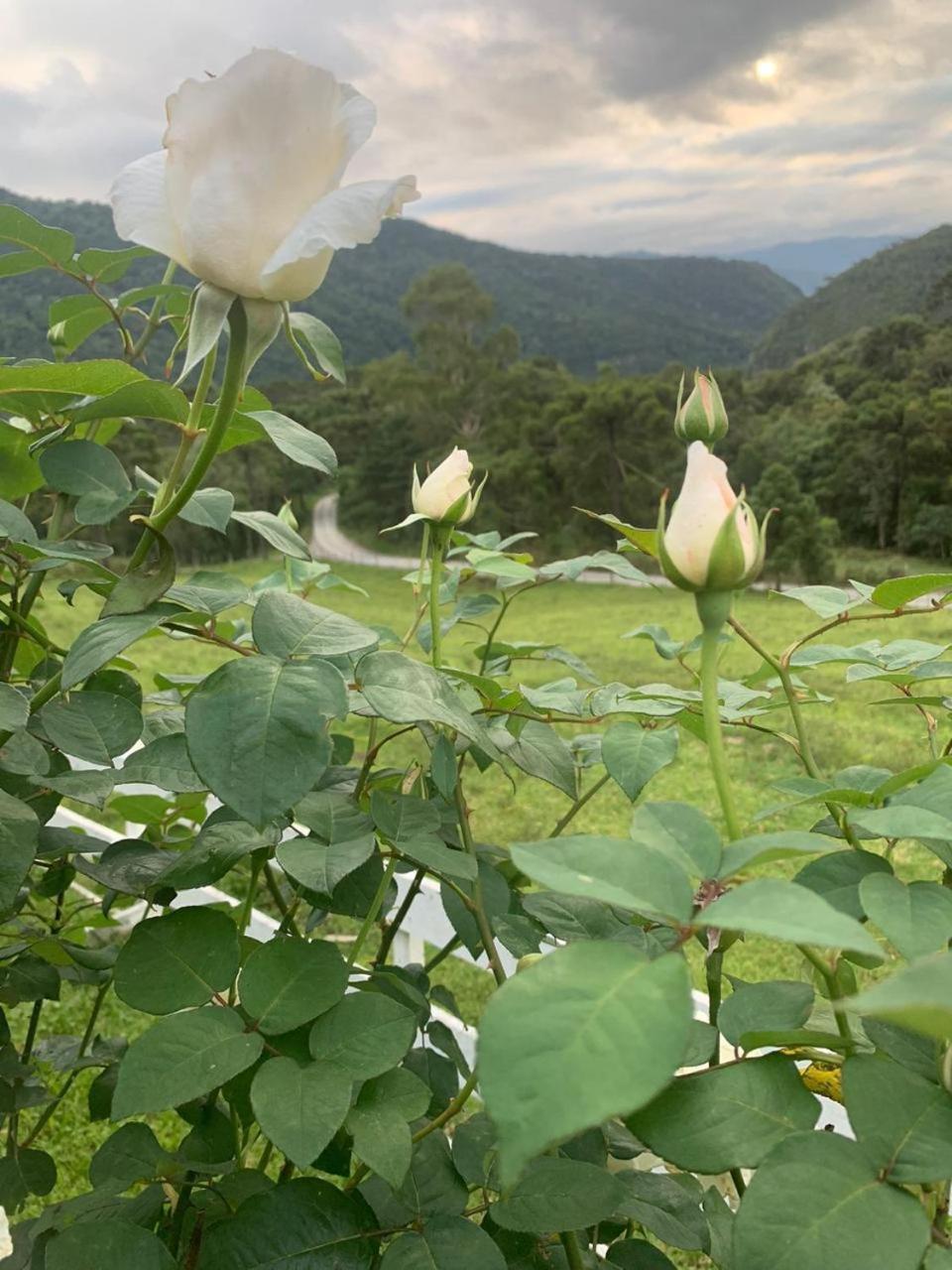 Meu Cantinho Serrano อูรูบิซิ ภายนอก รูปภาพ